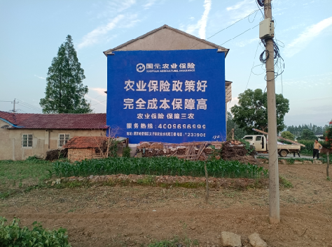  霍邱墙体广告为何受追捧？